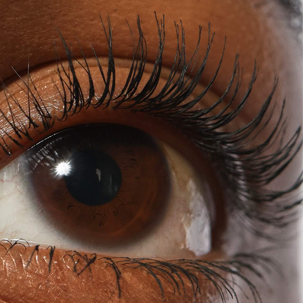 Refy - Lash Sculpt Black