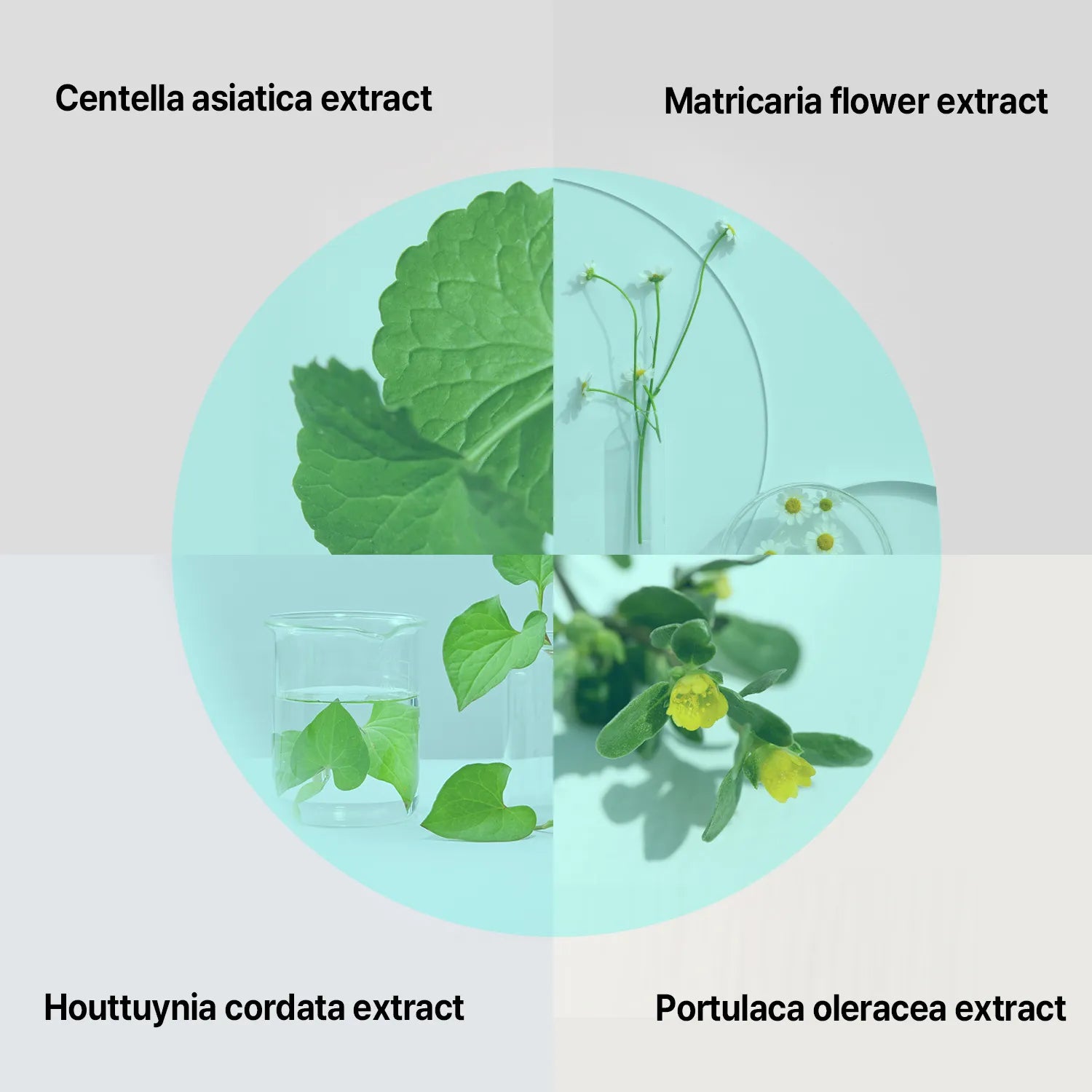 Ilso - Super Melting Sebum Softener + Cotton Pad